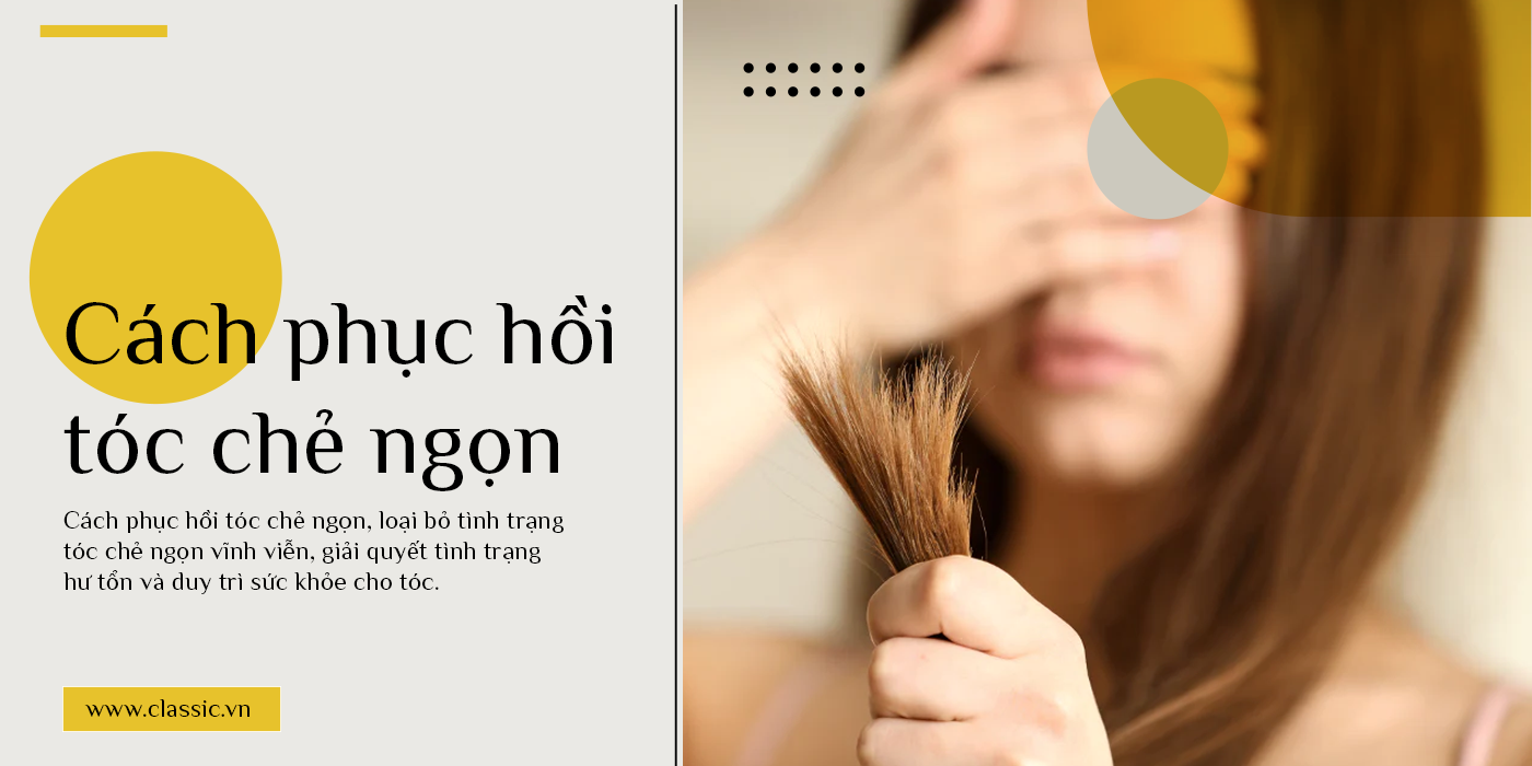 Mách bạn cách chăm sóc và ngăn ngừa tóc bị chẻ ngọn hiệu quả - Nhà thuốc  FPT Long Châu