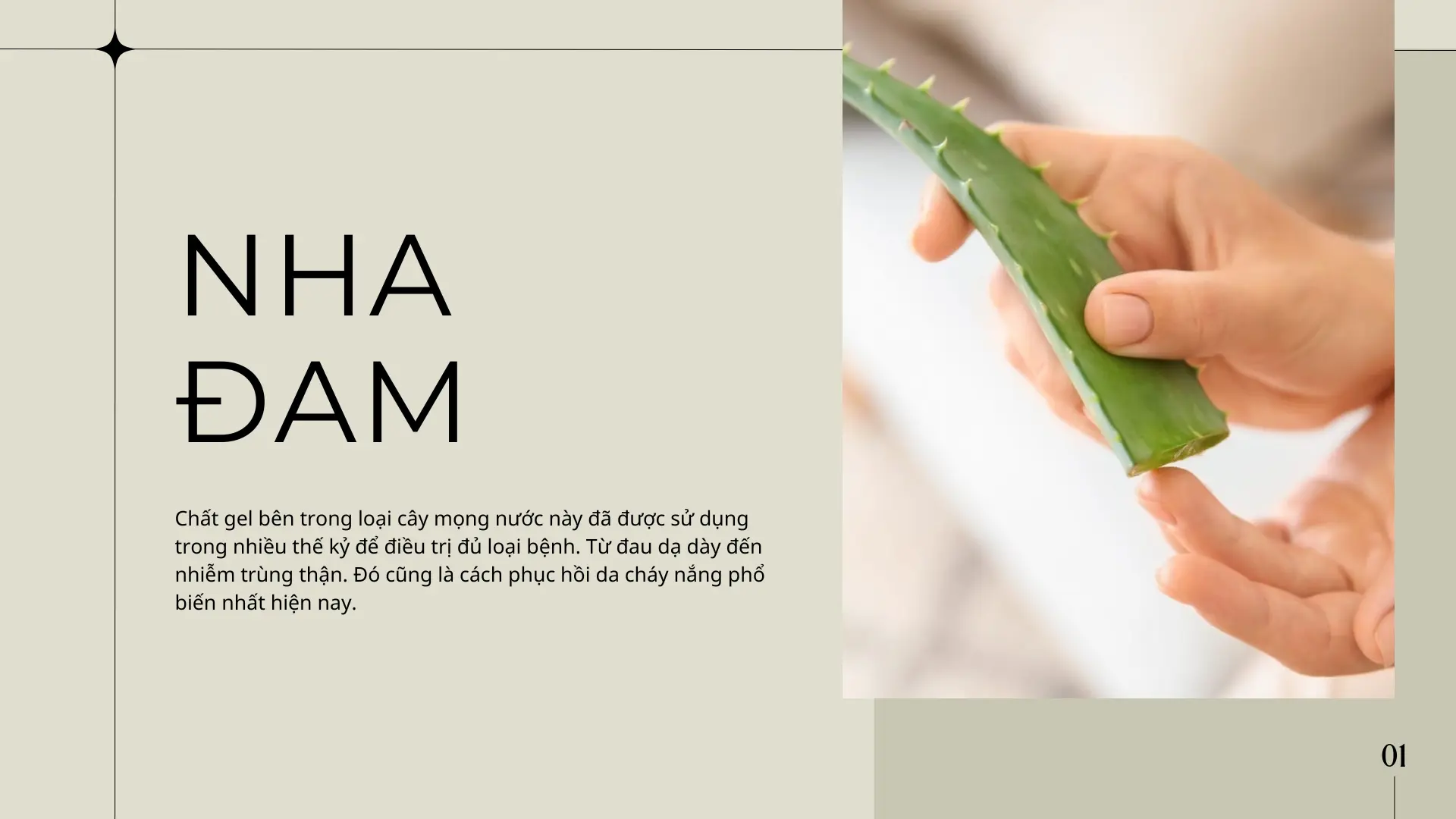 cách phục hồi da cháy nắng