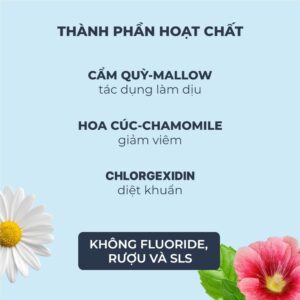 Nước Súc Miệng President