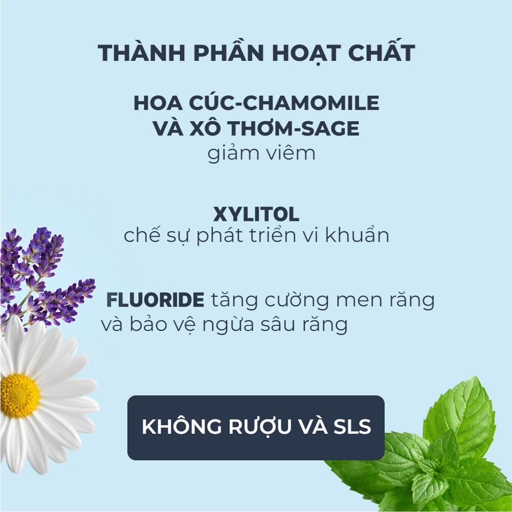 Nước Súc Miệng President