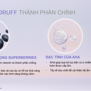 Dầu gội ngăn gàu Schwarzkopf BC Anti-Dandruff