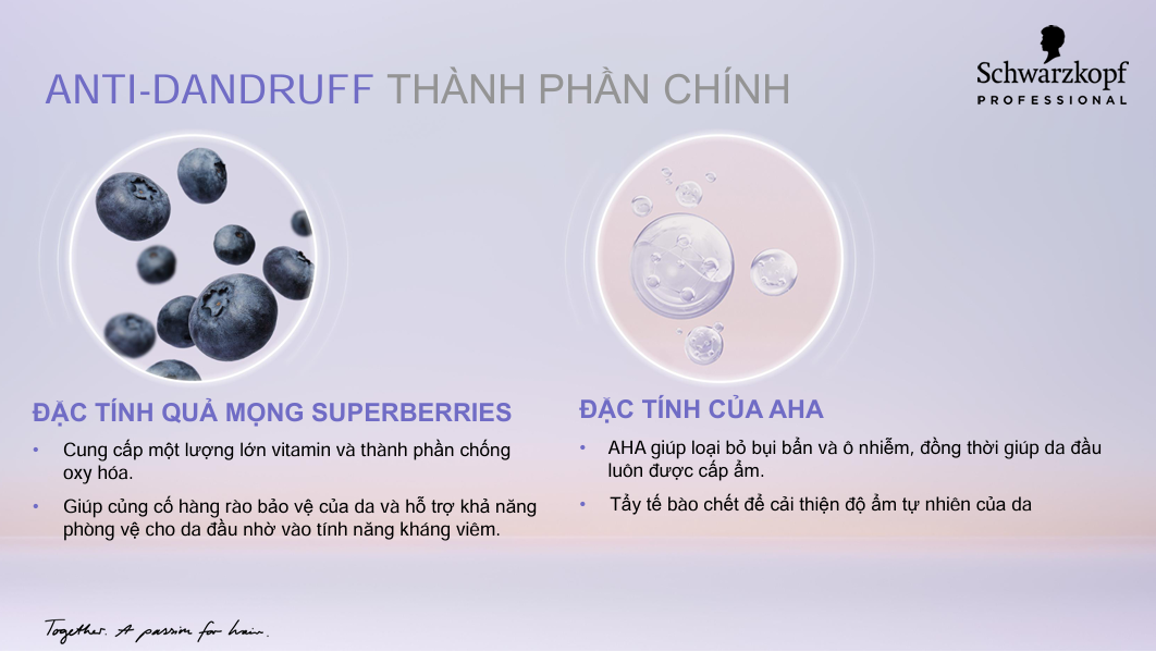 Dầu gội ngăn gàu Schwarzkopf BC Anti-Dandruff